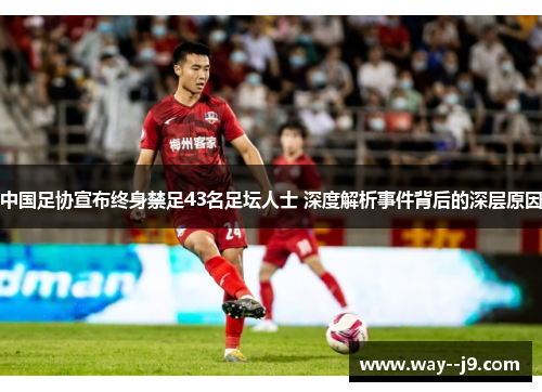 中国足协宣布终身禁足43名足坛人士 深度解析事件背后的深层原因
